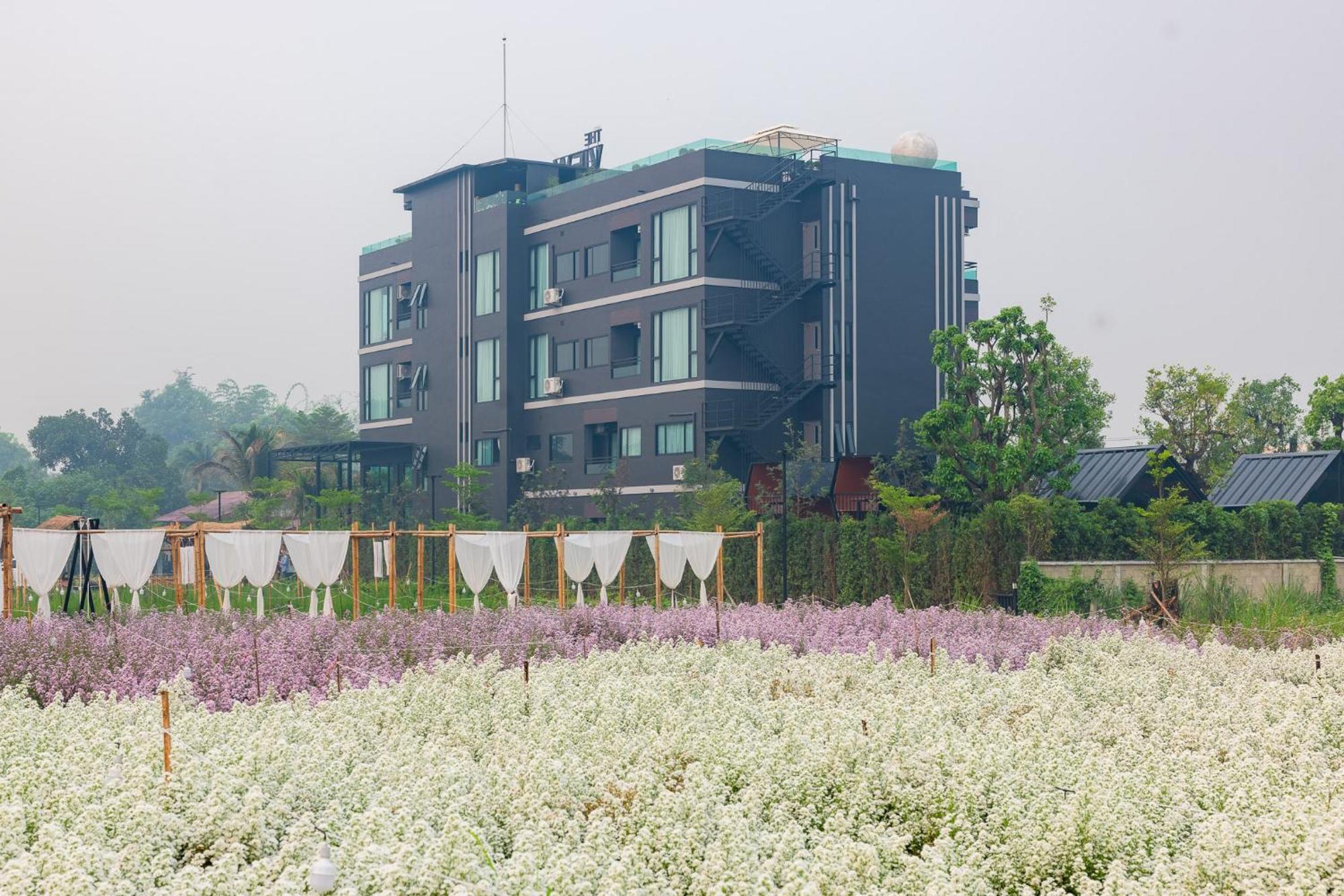 Hotel The View Chiang Dao Exterior foto